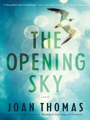 cover image of The Opening Sky